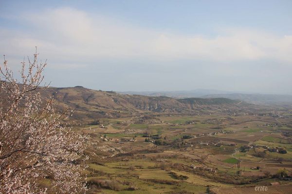 22mars2012-Plateau-ardechois-162a.jpg