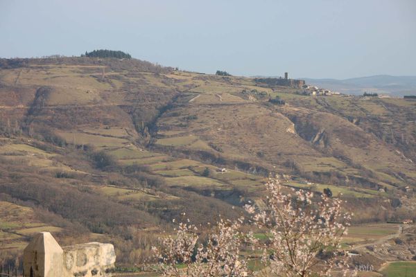 22mars2012-Plateau-ardechois-165a.jpg