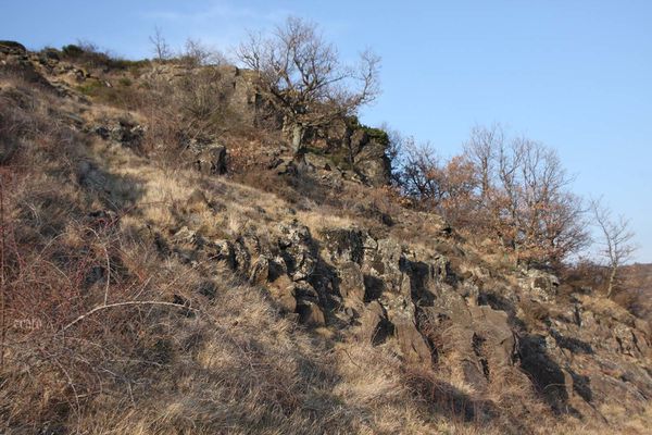 22mars2012-Plateau-ardechois-173a.jpg