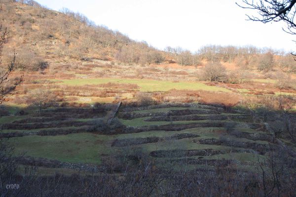 22mars2012-Plateau-ardechois-181a.jpg