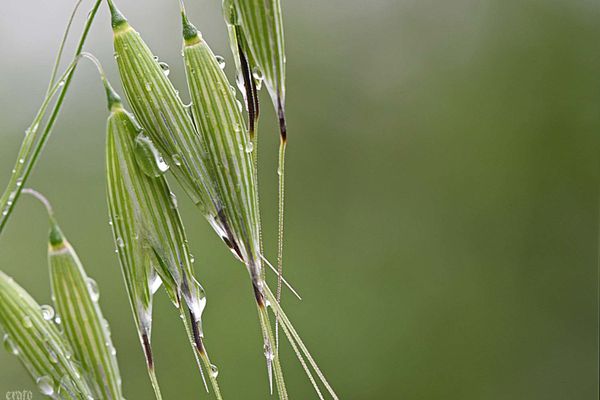 20mai2012-pluie-004a.jpg