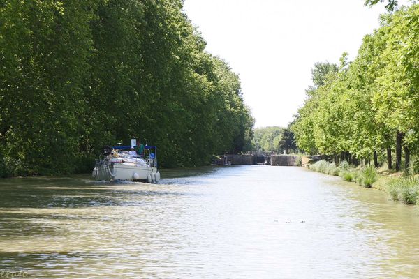 14-juin-2012---promenade-canal-du-Midi-064a.jpg