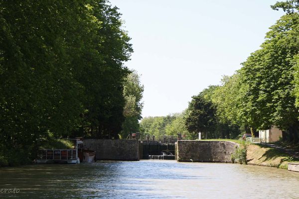 14-juin-2012---promenade-canal-du-Midi-066a.jpg