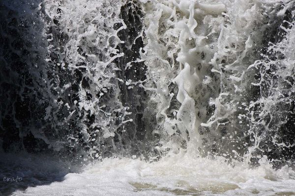 14-juin-2012---promenade-canal-du-Midi-096a.jpg