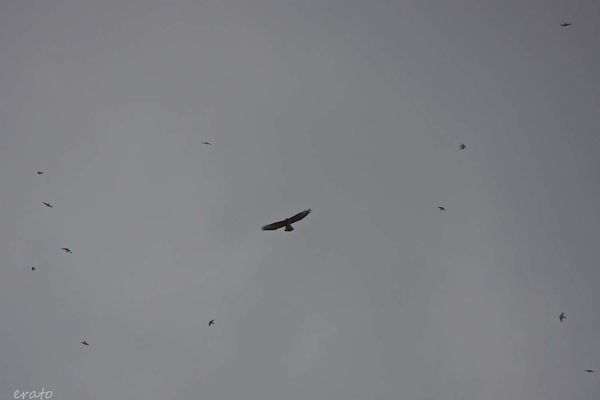 24-septembre-2012-061a.jpg