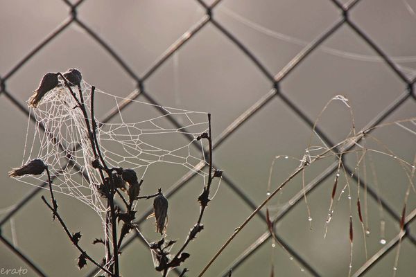5-octobre-2012-033a.jpg