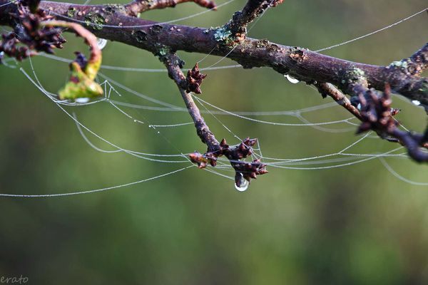 5-octobre-2012-044a.jpg