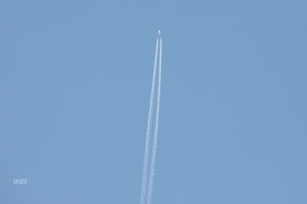17oct2011-024.JPG