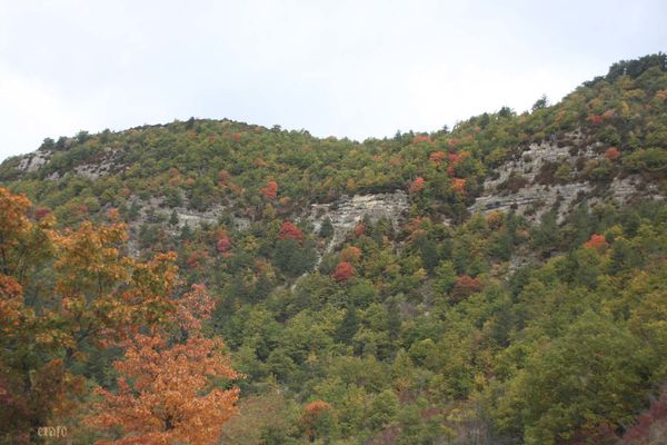 22oct.2011--paysages-escrinet--chuck-rouge-gorge-037a.jpg
