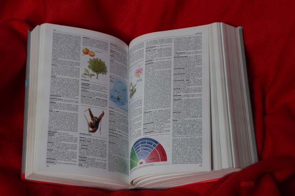 23oct.2011--dico-001.JPG