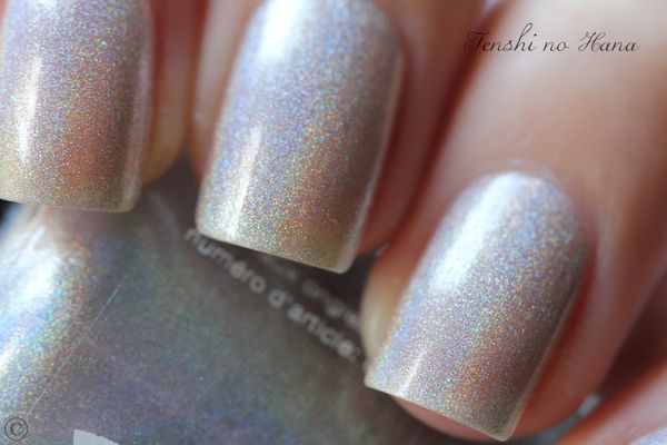 holo silvershape 6