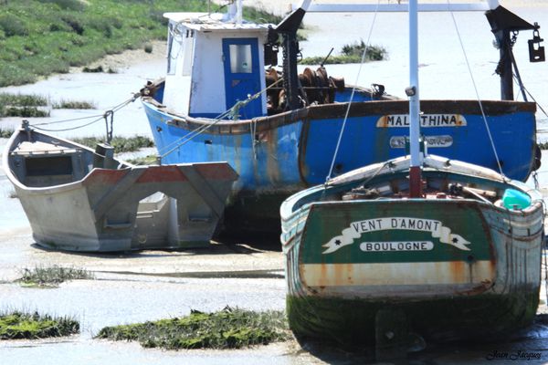 Marée basse (2)