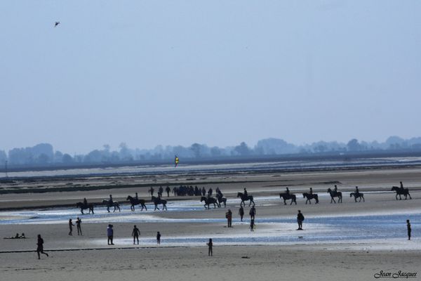 Marée basse (3)