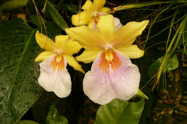 P1150065