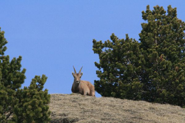 100424 Vallon de Combau 051