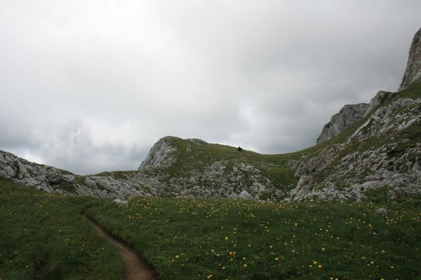 110619 La Grande Moucherolle 007
