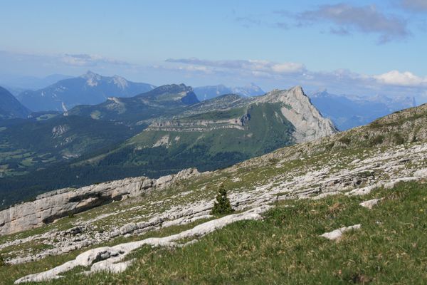 110619 La Grande Moucherolle 149