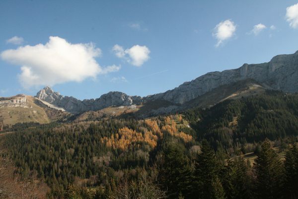 111112 Col Vert 006