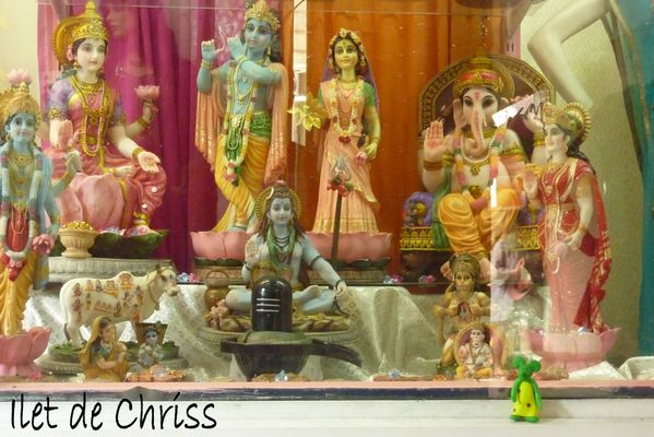 MAKATIA-VITRINE-INDIENNE-2-IDC-16.12.jpg