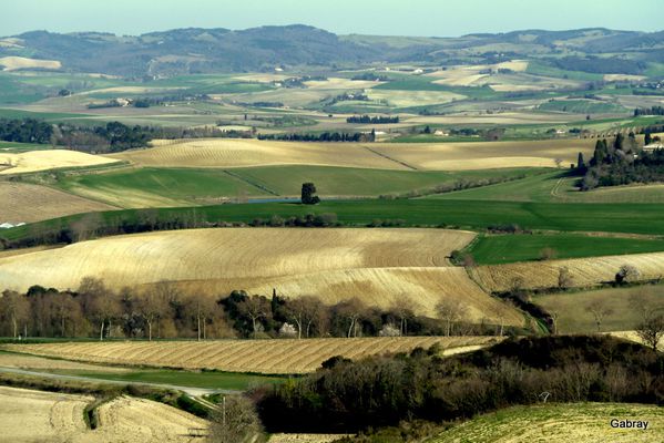 y05---Collines-du-Lauragais.JPG