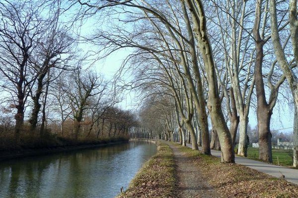 FF03 - Canal & chemin