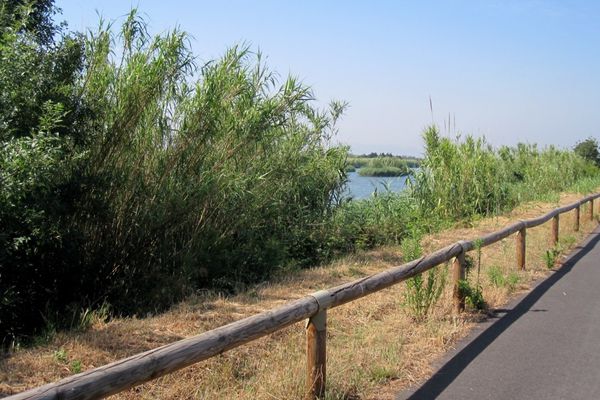 E6 - Route sur digue