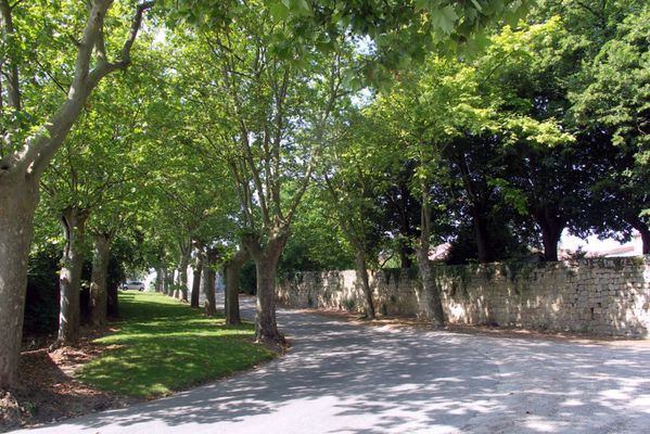 ca1 - Allée