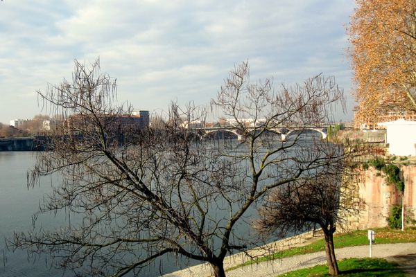 hy12 - Au bord de la Garonne