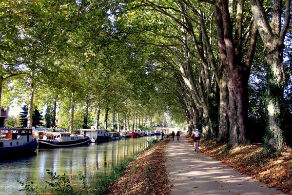 q02 - Le pont sur le canal