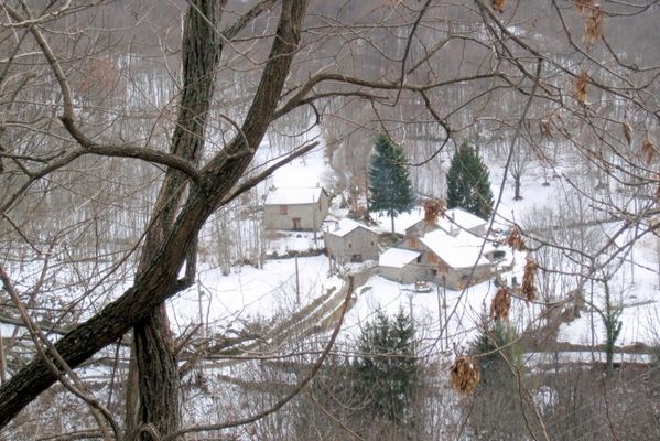K4 - Arbres et maisons