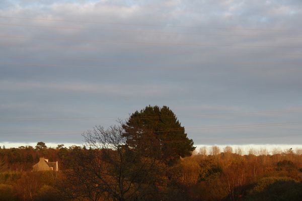 201111285.JPG