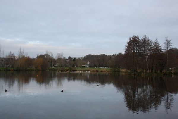2012-01-23 (2)