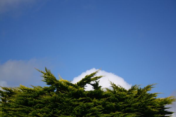 2012-08-13 0134