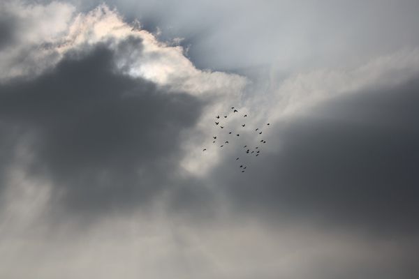 20110305 58