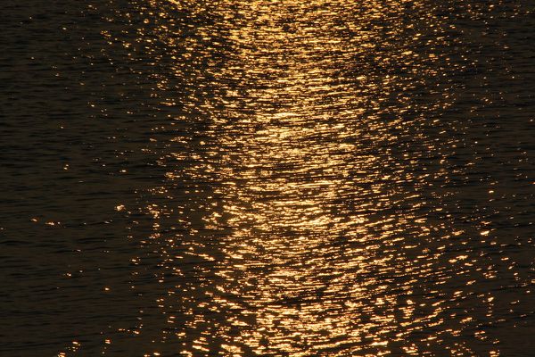 20110306 107