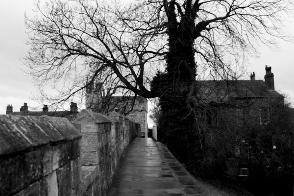 york4.jpg