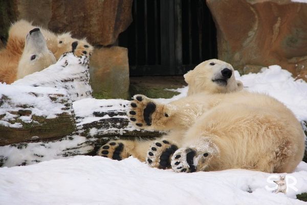 Januar-2010 2201
