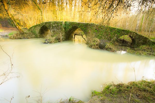 girault2- flickr