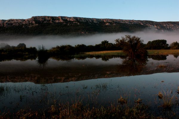 Nature Ste Baume 7246