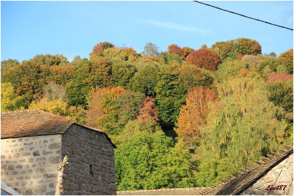Saison-0157-Automne.jpg