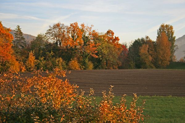 automne-06