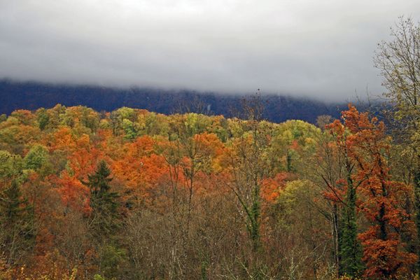 automne-07