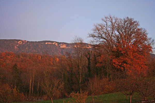 automne-08