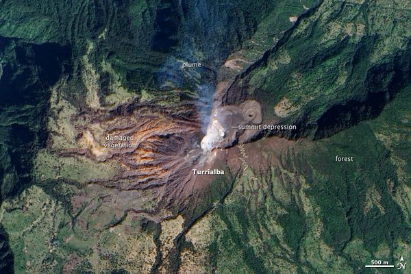turrialba_ali_2010.01.21.jpg