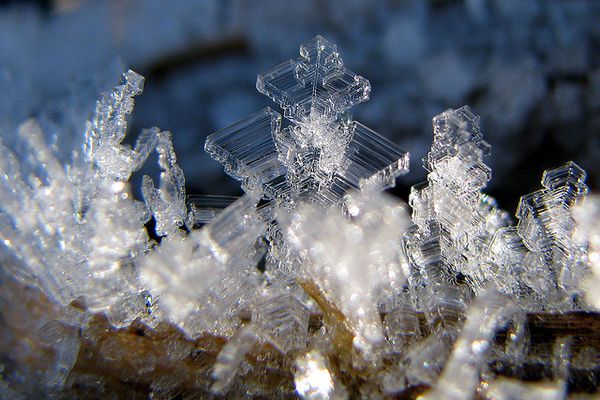Th.Reichart-Ice-cristal---de-.jpg