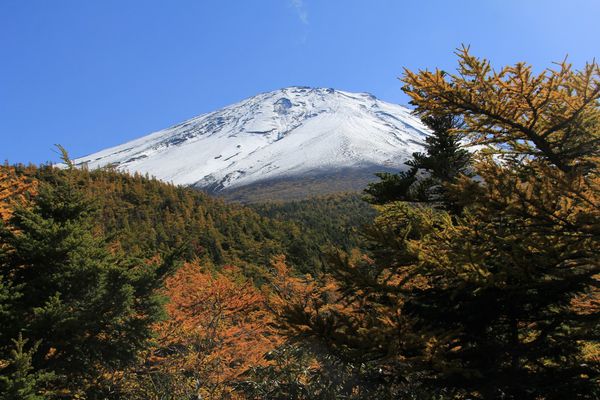 Fuji---8---AVE-10.2012.jpg