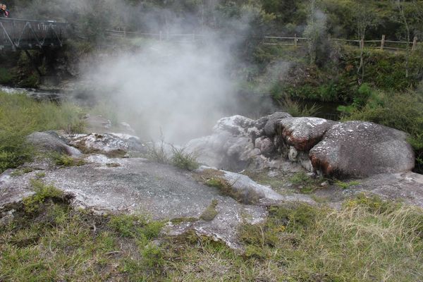 Papakura-geyser---3---Te-Puia-NZ.jpg