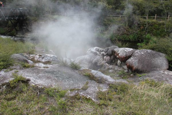 Papakura geyser - 3 - Te Puia NZ