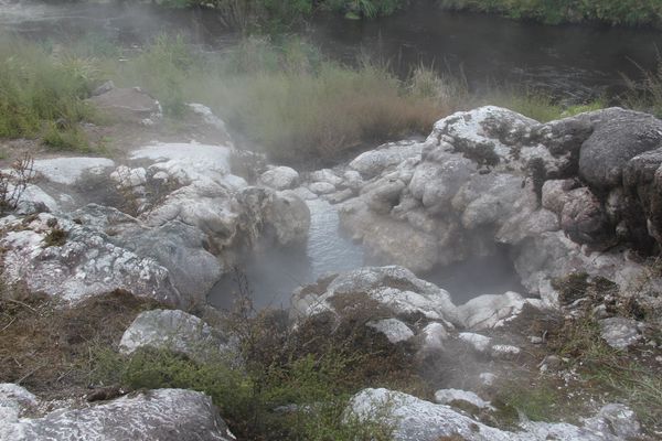 Papakura geyser - 4 - Te Puia NZ