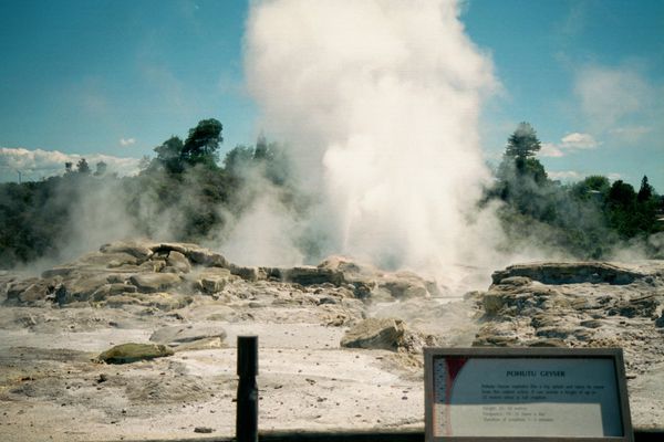 WhakarewarewaPohutuGeyser - Carl Lindberg